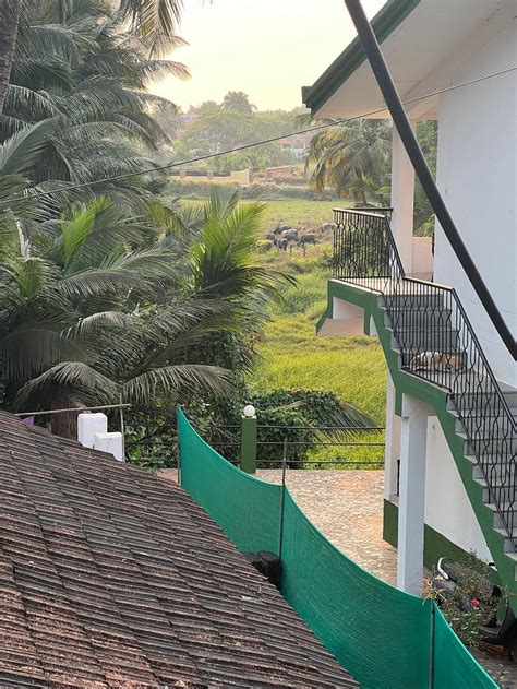 tripadvisor goa|THE 10 CLOSEST Hotels to Heaven Goa .